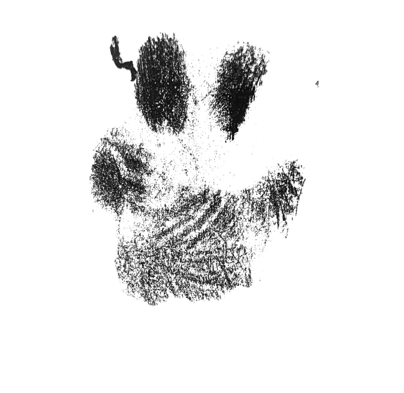 Personalised A4 Pet Paw Print in Frame - Unique Keepsake Gift