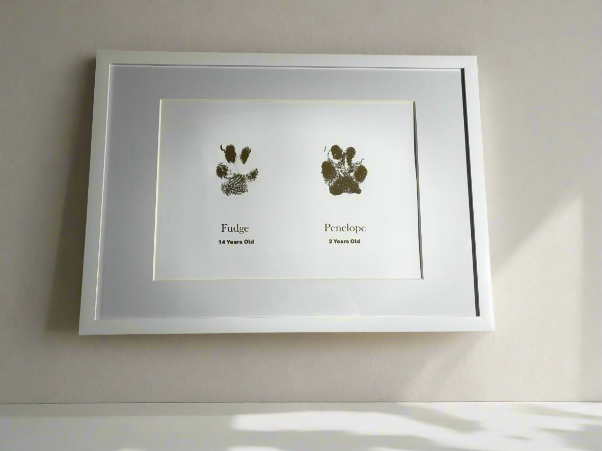 Double pet paw prints in A4 white frame