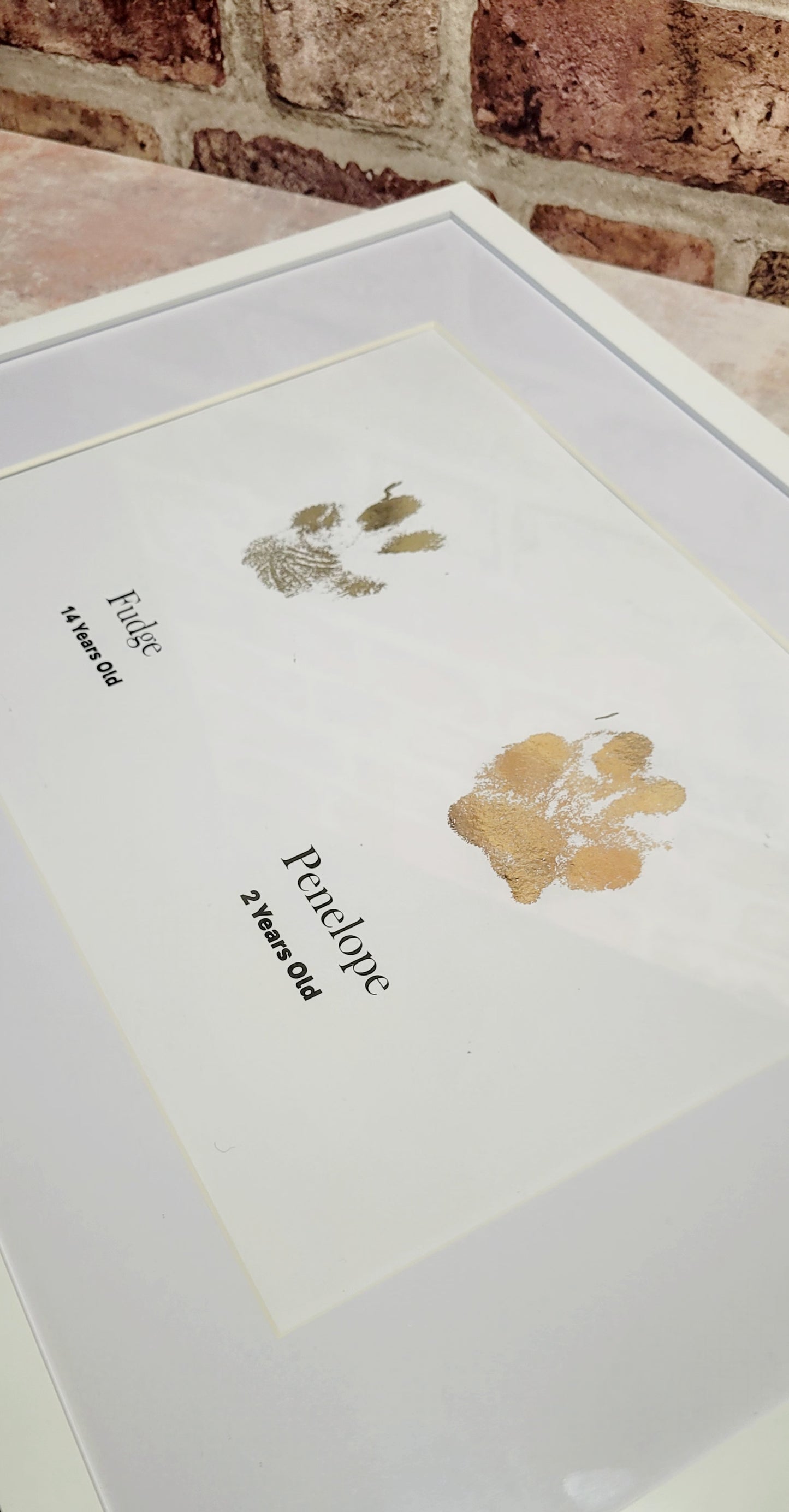 A3 Framed Pet Paw Prints