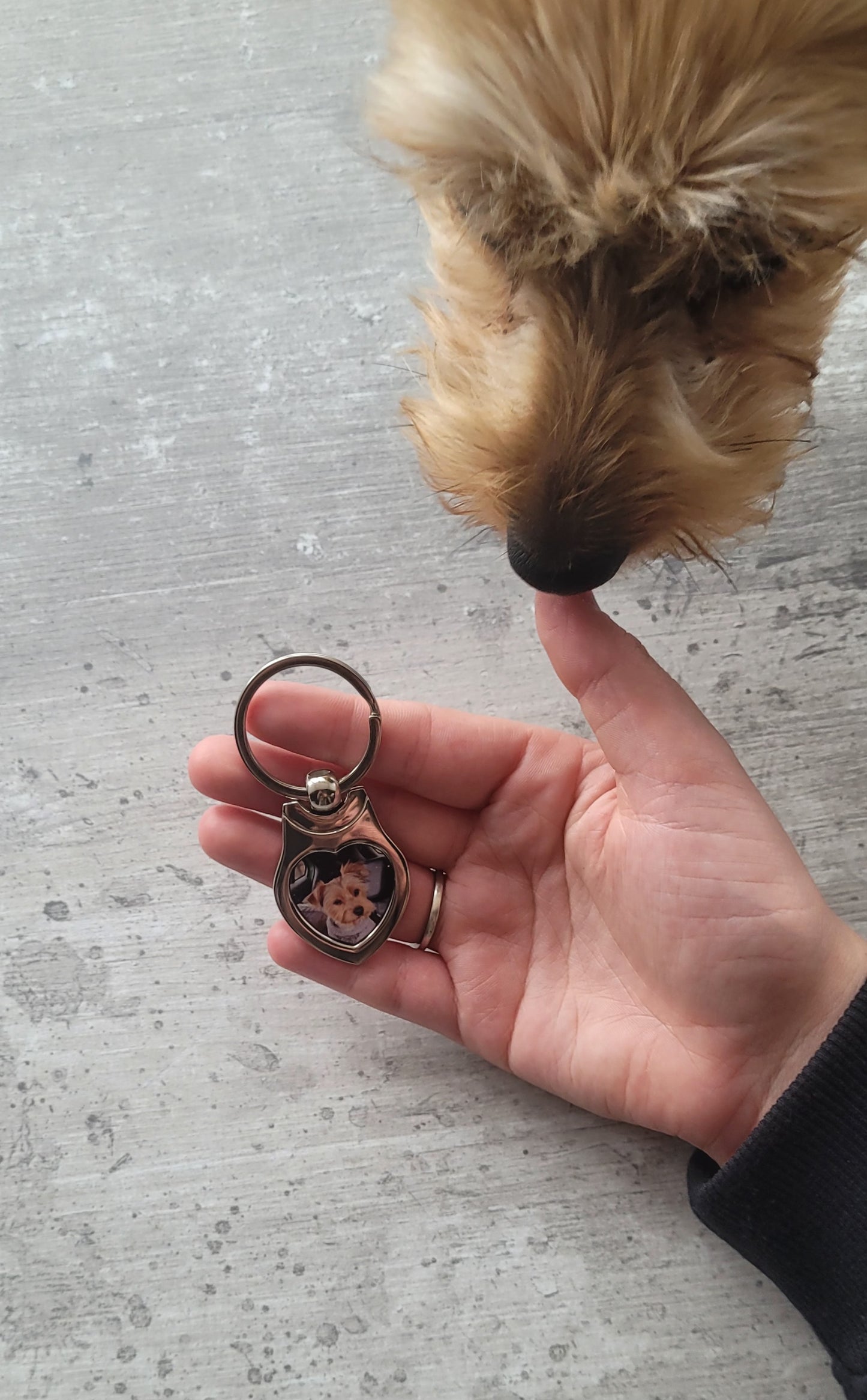 Yorkie approved Pet photo heart keyring displayed on tabletop