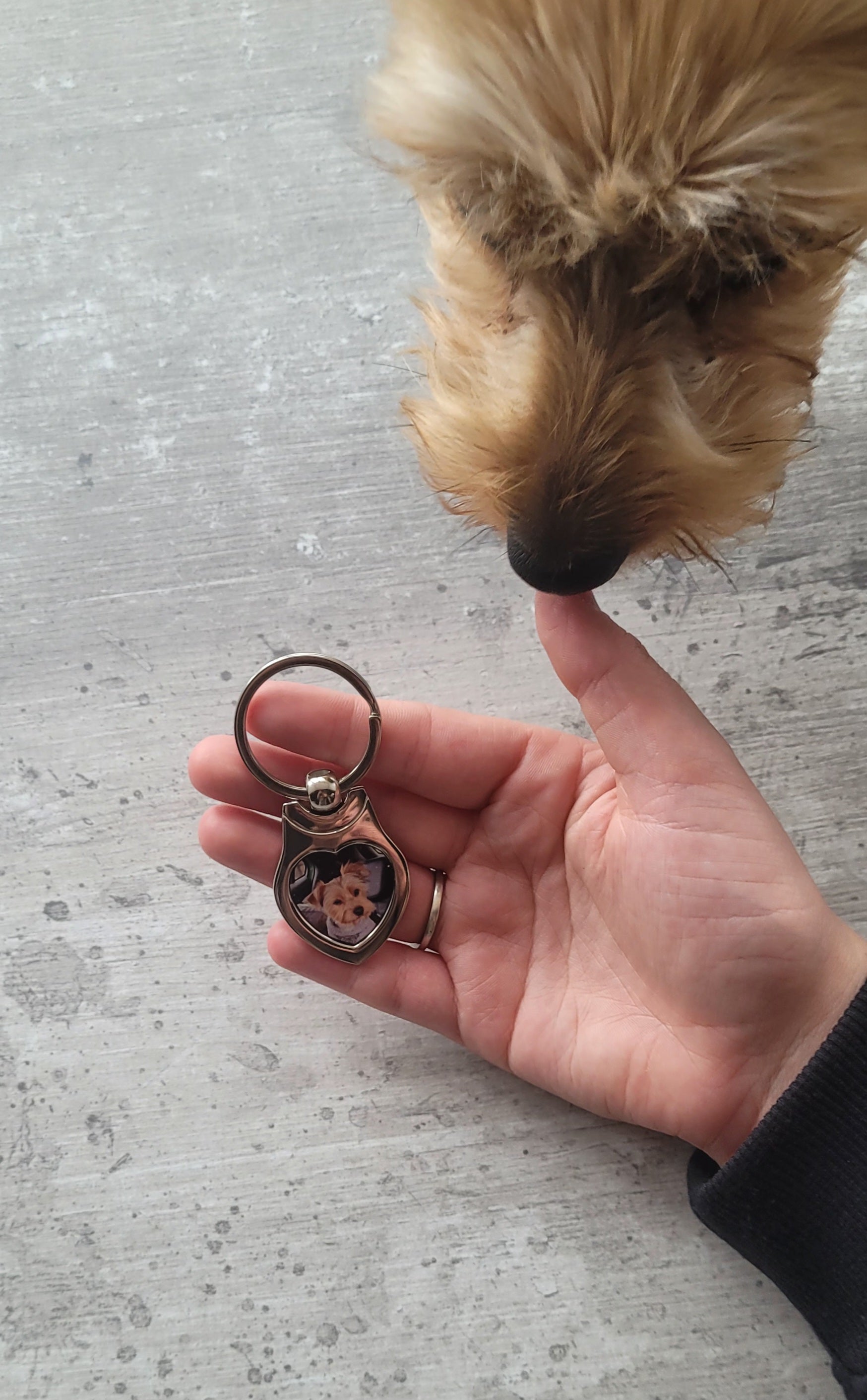 Yorkie approved Pet photo heart keyring displayed on tabletop
