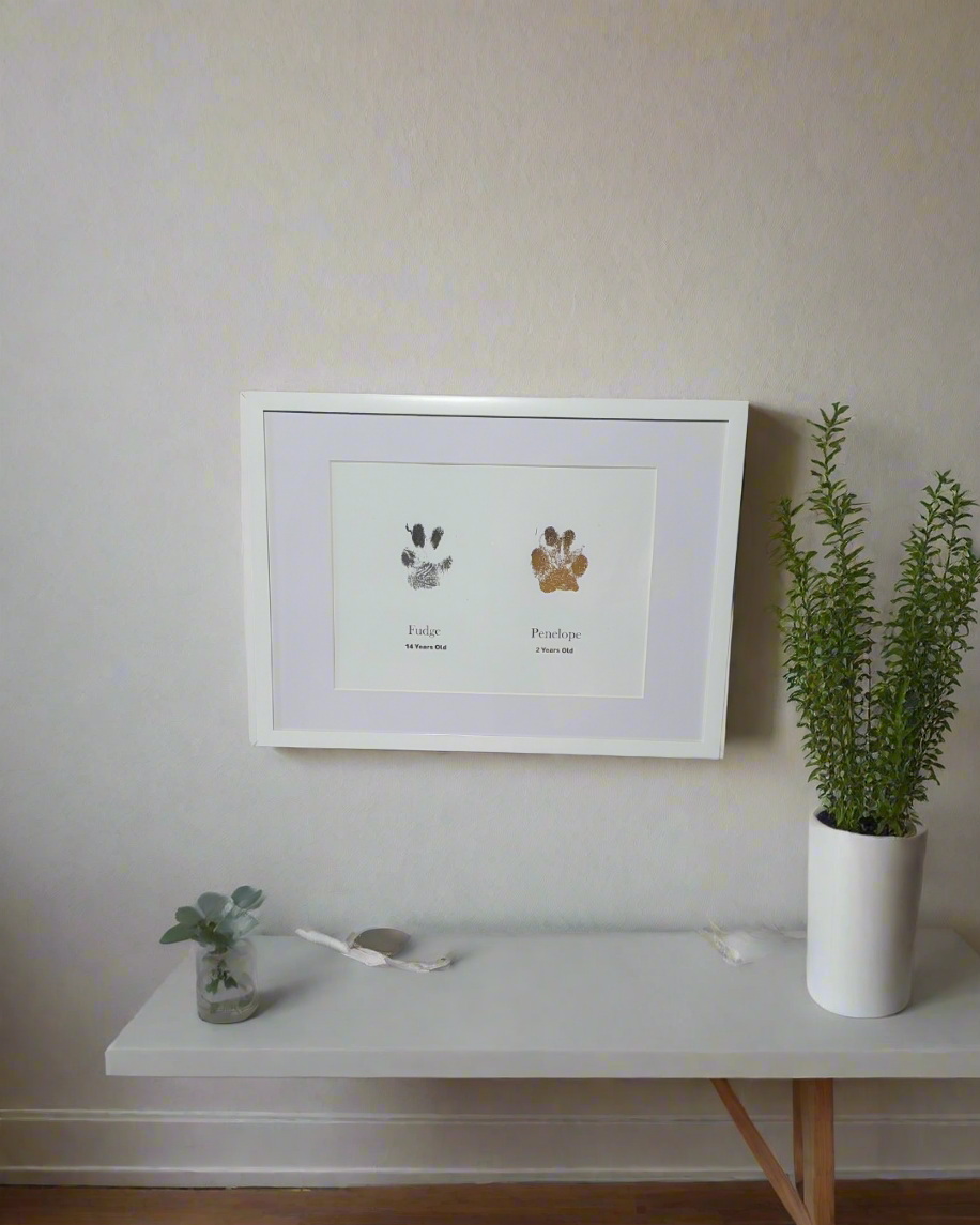 A3 Framed Pet Paw Prints