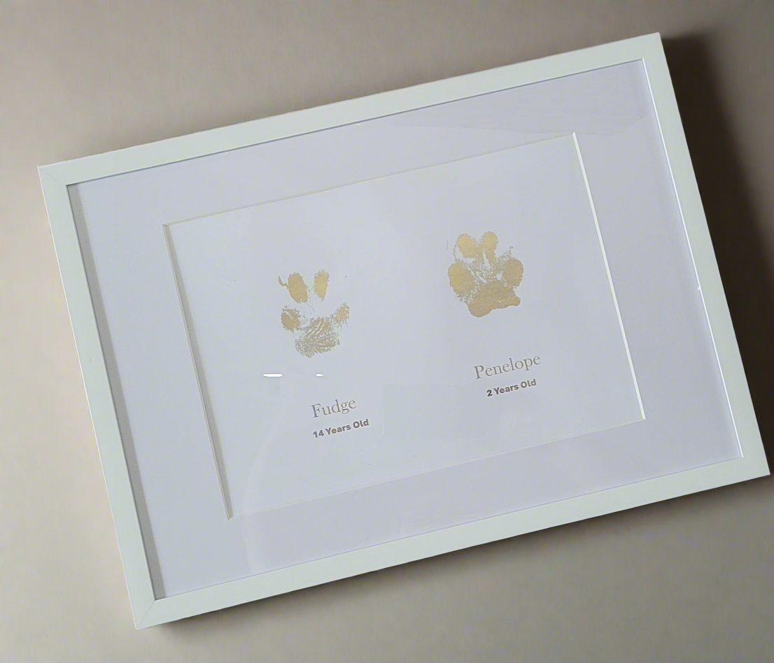 A3 Framed Pet Paw Prints