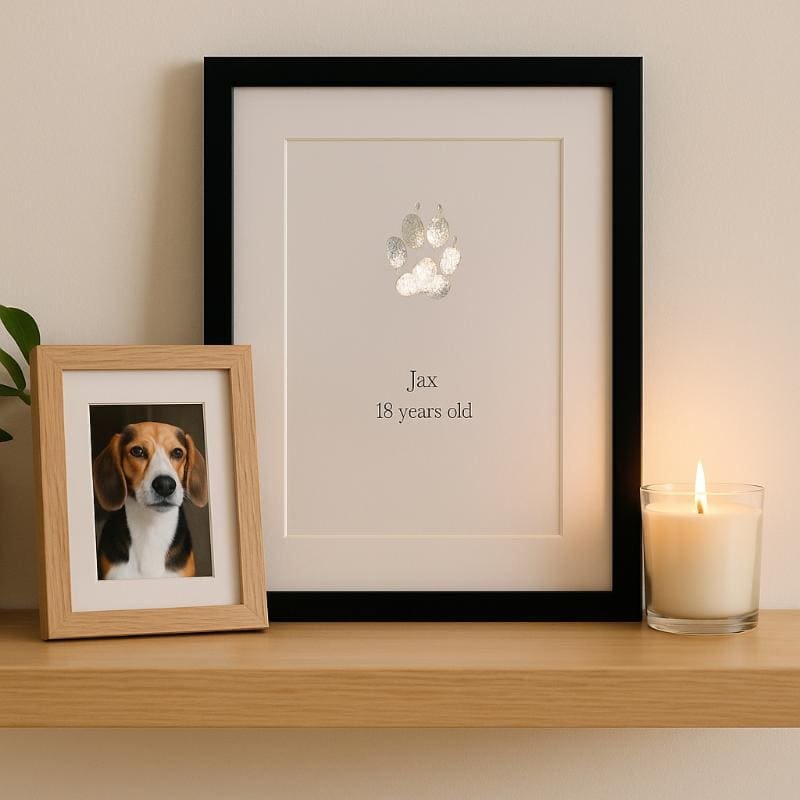 a4 pet paw print in black frame on a shelf with a lit candle and a photo of a dog